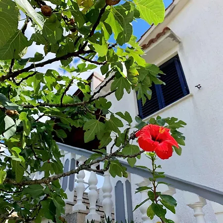 Horvat By Interhome Apartament