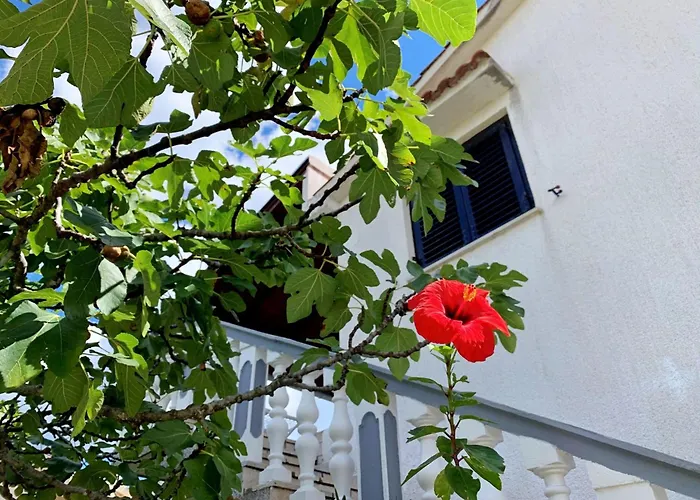 Horvat By Interhome Apartament